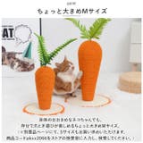 猫 爪とぎ pkxx2067 | BACKYARD FAMILY | 詳細画像4