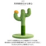 猫 爪とぎ pkxx21063 | BACKYARD FAMILY | 詳細画像5