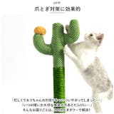 猫 爪とぎ pkxx21063 | BACKYARD FAMILY | 詳細画像7