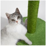 猫 爪とぎ pkxx21066 | BACKYARD FAMILY | 詳細画像3