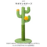 猫 爪とぎ pkxx21066 | BACKYARD FAMILY | 詳細画像5