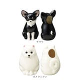 かわいいネコのフラワー＆ペンスタンド | BACKYARD FAMILY | 詳細画像14 