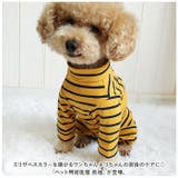 ペット用術後服 長袖 yktdp1 | BACKYARD FAMILY | 詳細画像2 