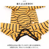 ペット用術後服 長袖 yktdp1 | BACKYARD FAMILY | 詳細画像11 