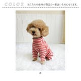 ペット用術後服 長袖 yktdp1 | BACKYARD FAMILY | 詳細画像13 