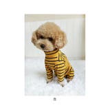 ペット用術後服 長袖 yktdp1 | BACKYARD FAMILY | 詳細画像14 