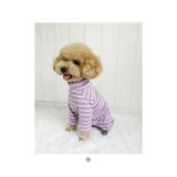 ペット用術後服 長袖 yktdp1 | BACKYARD FAMILY | 詳細画像16 