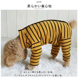 ペット用術後服 長袖 yktdp1 | BACKYARD FAMILY | 詳細画像4 