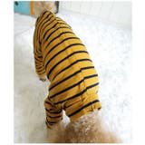 ペット用術後服 長袖 yktdp1 | BACKYARD FAMILY | 詳細画像5 