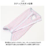 ペット用術後服 yktdp2 | BACKYARD FAMILY | 詳細画像15 