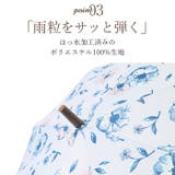 amusant sous la pluie 大きな長傘 65cm | BACKYARD FAMILY | 詳細画像5 