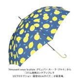 amusant sous la | BACKYARD FAMILY | 詳細画像2