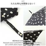 amusant sous la | BACKYARD FAMILY | 詳細画像8