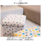 Leo Lionni 座ってしまえて畳める便利ボックス | BACKYARD FAMILY | 詳細画像6