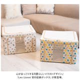 Leo Lionni 窓付収納ボックス | BACKYARD FAMILY | 詳細画像2