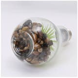 電球型インテリアライト Terrarium | BACKYARD FAMILY | 詳細画像12 