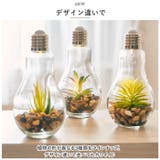 電球型インテリアライト Terrarium | BACKYARD FAMILY | 詳細画像7 