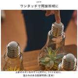 電球型インテリアライト Terrarium | BACKYARD FAMILY | 詳細画像8 