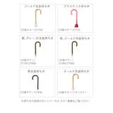 amusant sous la | BACKYARD FAMILY | 詳細画像7 