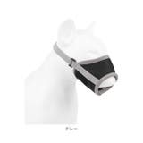 犬 マズル 口輪 petfb347 | BACKYARD FAMILY | 詳細画像11