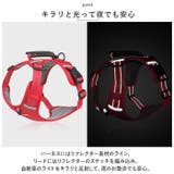 犬 ハーネス リード セット petfb524 | BACKYARD FAMILY | 詳細画像12