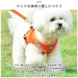 犬 ハーネス リード セット petfb855 | BACKYARD FAMILY | 詳細画像8