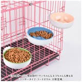 フードボウル pmyfbowl02 | BACKYARD FAMILY | 詳細画像2