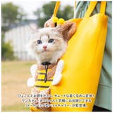 ペット 犬 猫 キャリー バッグ 顔出し ybag5144 | BACKYARD FAMILY | 詳細画像2 