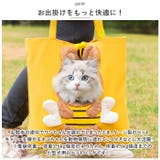 ペット 犬 猫 キャリー バッグ 顔出し ybag5144 | BACKYARD FAMILY | 詳細画像10 