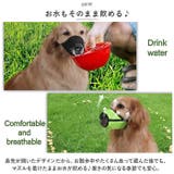 犬 口輪 pmydogm02 | BACKYARD FAMILY | 詳細画像7