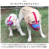 犬 口輪 pmydogm03 | BACKYARD FAMILY | 詳細画像8 