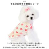 フリルワンピース ペット用 ykdwm08 | BACKYARD FAMILY | 詳細画像3
