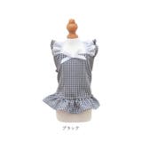 ペット服 pkpt89131 | BACKYARD FAMILY | 詳細画像16 