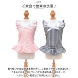 ペット服 pkpt89131 | BACKYARD FAMILY | 詳細画像8 