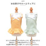 ペット服 pkpt89131 | BACKYARD FAMILY | 詳細画像10 