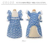 ペット服 pkpt89441 | BACKYARD FAMILY | 詳細画像17 
