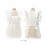 ペット服 pkpt89441 | BACKYARD FAMILY | 詳細画像18 