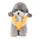 ペット服 pkpt89441 | BACKYARD FAMILY | 詳細画像4 