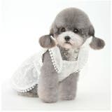 ペット服 pkpt89441 | BACKYARD FAMILY | 詳細画像6 