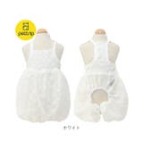 ペット服 pkpt89442 | BACKYARD FAMILY | 詳細画像13