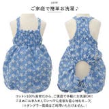 ペット服 pkpt89442 | BACKYARD FAMILY | 詳細画像8