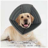 ペット エリザベスカラー 犬 大型 中型 ycbpet5158 | BACKYARD FAMILY | 詳細画像2 