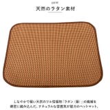 ペットマット pkpt027 | BACKYARD FAMILY | 詳細画像3 