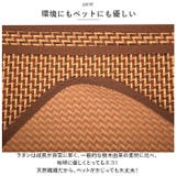 ペットマット pkpt027 | BACKYARD FAMILY | 詳細画像6 