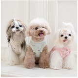ペット ドッグウェア ワンピース 花柄 yonlydog5163 | BACKYARD FAMILY | 詳細画像4