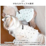ペット ドッグウェア ワンピース 花柄 yonlydog5163 | BACKYARD FAMILY | 詳細画像5