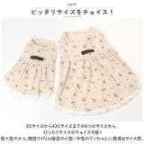 ペット ドッグウェア ワンピース 花柄 yonlydog5163 | BACKYARD FAMILY | 詳細画像9