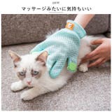 ペットブラシ グローブ pk18ji3615 | BACKYARD FAMILY | 詳細画像3