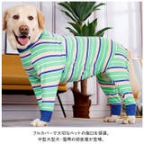 術後服 pmybigwear03 | BACKYARD FAMILY | 詳細画像2 