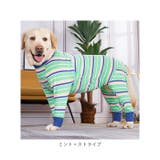 術後服 pmybigwear03 | BACKYARD FAMILY | 詳細画像16 